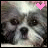 A pixelated dog face with a pink heart symbol in the top-right corner, showing subtle animation changes between frames.