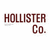 Static pixelated image displaying 'HOLLISTER Co.' text in dark brown serif font on white background with slight transparency effects.