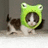 A cat wearing a green frog hat with large eyes stands beside a smaller cat, with green text reading 'RIBBET!' on a brown background.