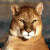 Pixelated close-up of a light brown feline face with white muzzle and chest, dark brown eyes, and a wide open mouth showing white teeth against a blurred background.