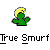 Pixelated green cactus with yellow crescent-shaped top, black outline, and white text reading 'True Smurf' below on gray background.