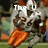Pixelated cartoon character in silver armor with orange pants, holding a football, with text changing across frames.