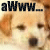 Pixelated dog face with brown ears and nose, black eyes, white text 'aWWW...' above in dark and light versions.