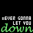 Green text repeats 'NEVER GONNA LET YOU DOWN' in a pattern on black background with varying pixelation and color shifts