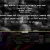 Static pixelated image with dark background and scattered light gray and white horizontal lines, some vertical elements, and faint colored pixels at bottom.