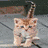A static image with two animal photos and red text urging to stop animal abuse before harm occurs.