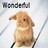 Pixelated icon of a light brown rabbit-like creature with pink cheeks and dark eyes, positioned below the word 'Wonderful' on a light background.