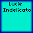 Four identical cyan squares with dark blue borders display "Lucie Indelicato" text in black pixelated font, arranged in a