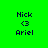 Green background with four identical pixelated text blocks showing 'Nick', '<3', and 'Ariel', each with a pink highlight bar in different positions.