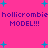 A static image with a bright pink background, blue plus signs scattered throughout, and repeated purple text reading "holicrombie holicrombie MODEL!!!" in two