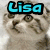 A four- shows a light brown tabby cat with folded ears and green eyes, each displaying the cat in a different pose with the text 'Lisa' in cyan pixelated font