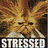 Pixelated image of a character with spiky brown hair and closed eyes, wearing white clothing against a dark background with the word STRESSED in block letters below.