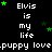 Pixelated text and green stars on black background with repeated phrases and partial gray area.