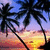 Silhouetted palm trees against a gradient sunset sky with yellow-orange water reflections, displayed in a