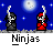badassbuddy_com-ninjas
