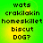 Green and yellow gradient background with black pixelated text reading wats, crakilakin, homeskillet, biscuit, DOG? in two identical vertical