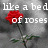 A four- of red roses on gray backgrounds with white text overlays, each showing different text phrases