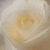 A static pixelated image of a light-colored flower with soft yellow and white tones, appearing as a close-up bloom against a muted background.