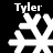 Four white snowflake-shaped icons on black background with 'Tyler' text above each, showing pixelated variations in branch structure and symmetry.