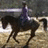 A pixelated image split into two sections: a dark horse with rider on left, bright pink background with text on right.