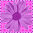 iconhell_vulpecula_daisy