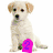 A light-colored puppy sits against a white background with a pink '2' icon, while another view shows the same puppy in green grass with purple '[r u]' text.