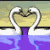 Two white swans form a heart shape with their necks over purple water, against a yellow and green background.