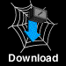 A static image of a spiderweb with a blue arrow pointing down to a box labeled 'Download' beneath it.