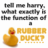 identical showing a yellow rubber duck with red beak and black eyes, beneath text reading 'tell me harry, what exactly is the function of a RUBBER DUCK?' in black and yellow fonts