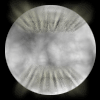 Four circular silver-toned icons with radiating lines and text elements, two showing 'SILVER' and 'MOON' text in different styles.