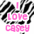 A static image with a black and white zebra-stripe background displaying multiple instances of the name "Casey" in various colors.
