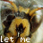 iconhell_violentstarr_bumblebee