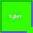 Four green square with blue borders each display the text 'tyler' in white pixelated font, with one containing a small dark blue heart and another a small dark blue star