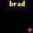 Yellow text 'brad' repeated across a black background with scattered pink pixelated symbols including plus signs, asterisks, and Xs.