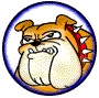 Animated cartoon bulldog avatar with orange-brown fur, white chest, and red spiked collar in circular blue border.