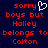 Red pixelated text on dark blue background reads 'sorry' with white heart symbol, 'boys but', 'Haliey', 'belongs to', 'Colton' in two identical