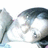 Two pixelated dolphin figures in mid-leap against a white background, one on the left facing right, the other on the right facing left.