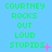 Green pixelated text on a light blue background reads "COURTNEY ROCKS OUT LOUD STUPIDS" with pink star-like symbols and punctuation variations across repeated
