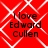Red background with white geometric pattern and black text reading "I love Edward Cullen" in four quadrants.