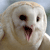 Pixelated close-up of a light-colored animal face with large dark eyes, a dark beak-like mouth, and a pink tongue, against a blurred background.