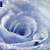 A swirling blue and white vortex with a small dark blue square in the top-left corner, transitioning to a top-right corner position in subsequent frames.