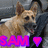 A pixelated dog with tan and black fur, mouth open in a smile, positioned next to text reading 'SAM' in pink letters followed by a purple heart symbol.