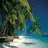 Pixelated beach scene with palm trees and water, transitioning to a green heart shape on the right side.