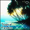 Tropical beach scene with palm trees, sunset, and water reflections; two women in bikinis dancing with text overlays.