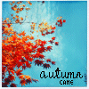 A static image of autumn leaves against a blue sky with 'autumn' and 'CAME' text in the lower-left corner.