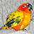 Pixelated image of a colorful bird with red head, yellow body, and green wings on gray background; orange contains text "I LOVE BRITTANY"