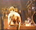 Animated sequence of a shirtless drummer with tattoos on back, seated at drum kit under warm lighting transitioning to cooler tones.