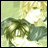 A 48x48 pixel buddy icon featuring a split composition with an anime-style character on the left and text elements on the right, displayed as part of a contact sheet.