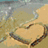 Pixelated static image of a heart-shaped object with brown borders on a sandy beach background under overcast sky.