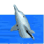Animated dolphin leaping from blue water, silver-gray body with black mouth line, three distinct poses showing head turning left to right across frames.